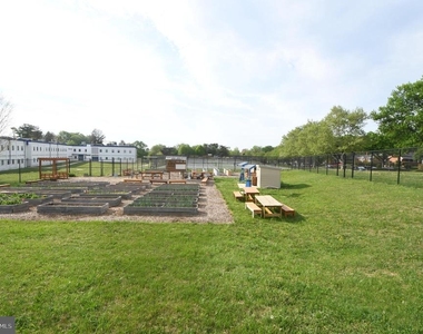 3506 Harrell Street - Photo Thumbnail 115