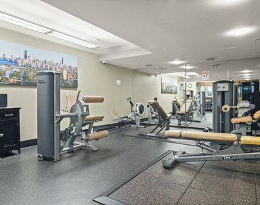 345 N La Salle Drive - Photo Thumbnail 17