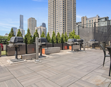 345 N La Salle Drive - Photo Thumbnail 19