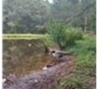 4283 E Paulding Drive - Photo Thumbnail 17