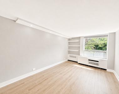 1355 N Sandburg Terrace - Photo Thumbnail 7
