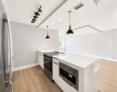 1355 N Sandburg Terrace - Photo Thumbnail 3