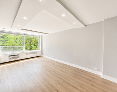 1355 N Sandburg Terrace - Photo Thumbnail 4