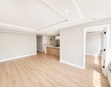 1355 N Sandburg Terrace - Photo Thumbnail 6
