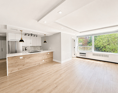 1355 N Sandburg Terrace - Photo Thumbnail 5