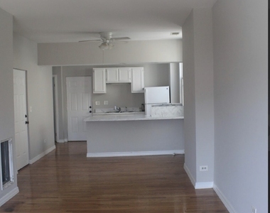1303 W Ohio Street - Photo Thumbnail 1