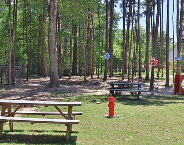 427 Mulberry Creek Street - Photo Thumbnail 30