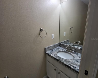 25903 Bloomsbury Court - Photo Thumbnail 30