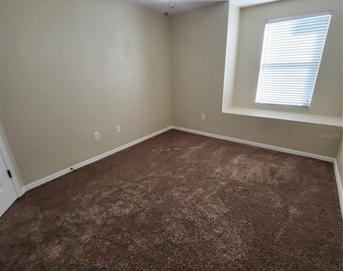 25903 Bloomsbury Court - Photo Thumbnail 47