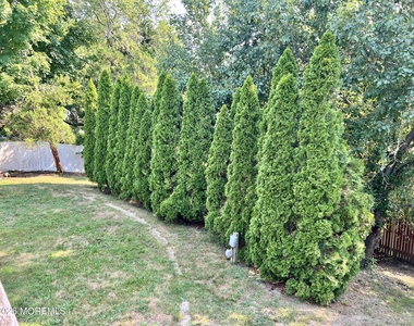 12 White Drive - Photo Thumbnail 20