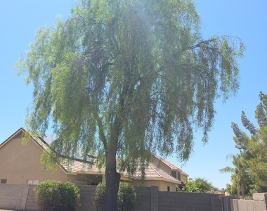 1064 S Jesse Place - Photo Thumbnail 20