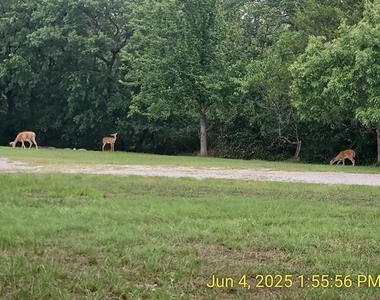 137 Oakview Road - Photo Thumbnail 39