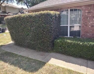 3101 Cape Cod Court - Photo Thumbnail 10