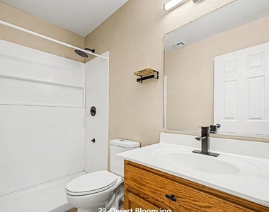 23765 W Desert Bloom Street - Photo Thumbnail 11