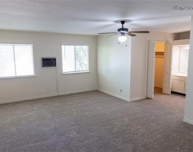 3101 Raintree Drive - Photo Thumbnail 13