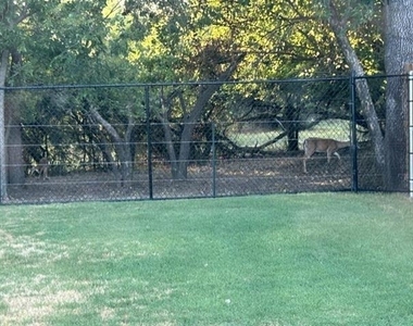 333 Lubbock Drive - Photo Thumbnail 26