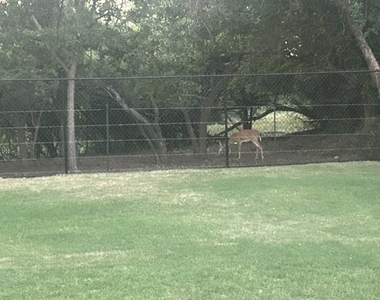 333 Lubbock Drive - Photo Thumbnail 4