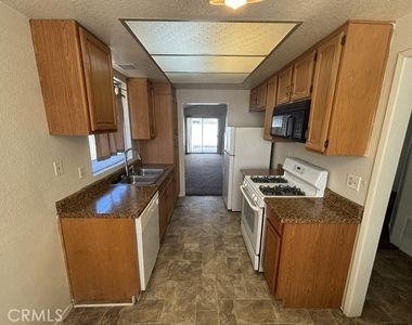 1013 Ivy St - Photo Thumbnail 3