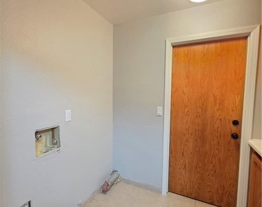 21741 Adler - Photo Thumbnail 12
