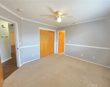 21741 Adler - Photo Thumbnail 13
