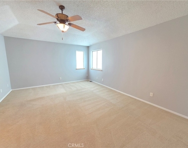 21741 Adler - Photo Thumbnail 19