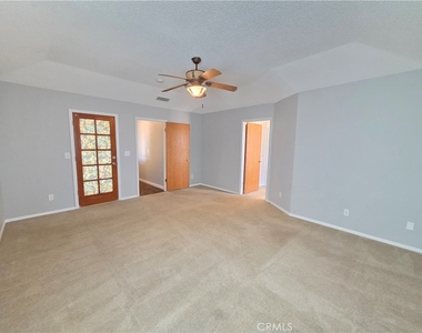 21741 Adler - Photo Thumbnail 21