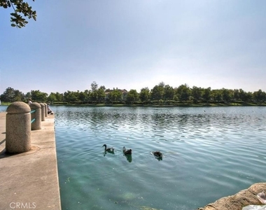 4 Pinzon - Photo Thumbnail 24