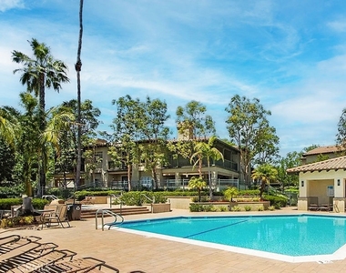 4 Pinzon - Photo Thumbnail 22