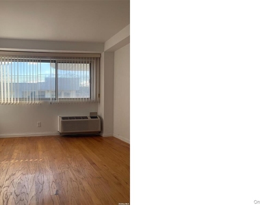 88 Cuttermill Road - Photo Thumbnail 10
