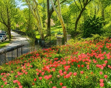 521 W 122nd Street - Photo Thumbnail 9