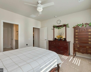 15563 Blue Lotus Lane - Photo Thumbnail 17