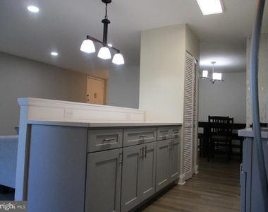11252 Chestnut Grove Square - Photo Thumbnail 17