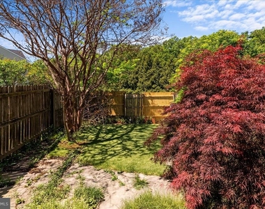 229 Sherando Circle - Photo Thumbnail 33
