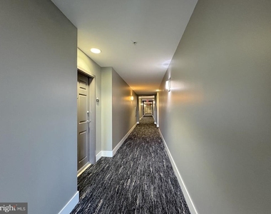 1111 Oronoco Street - Photo Thumbnail 6
