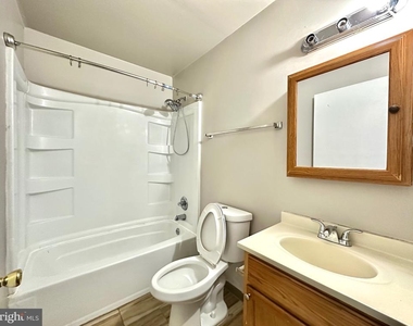 1616 Diamond St - Photo Thumbnail 9