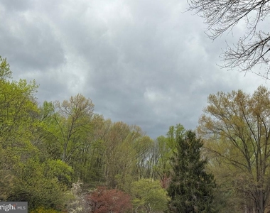 14713 Flints Grove - Photo Thumbnail 49