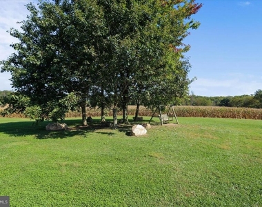 567 Pelican Avenue - Photo Thumbnail 39
