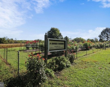 567 Pelican Avenue - Photo Thumbnail 38