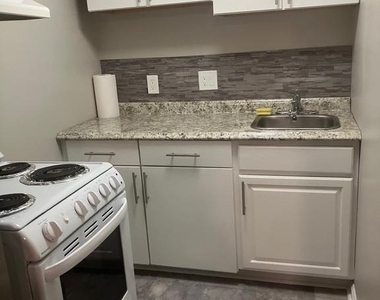 10314 Watkins Mill Drive - Photo Thumbnail 6