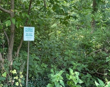 10215 Daventry Drive - Photo Thumbnail 2