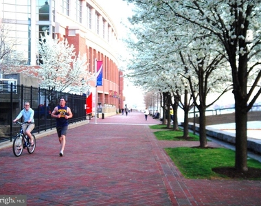 250 President Street - Photo Thumbnail 30