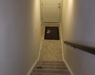 856 Nancy Lynn Lane - Photo Thumbnail 19