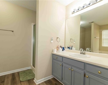199 Amelia Creek Way - Photo Thumbnail 20