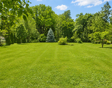 1462 Glen Ellyn Road - Photo Thumbnail 19