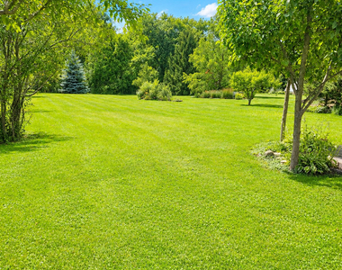 1462 Glen Ellyn Road - Photo Thumbnail 16