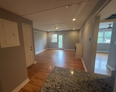 6954 N Greenview Avenue - Photo Thumbnail 4
