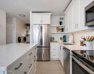 1455 N Sandburg Terrace - Photo Thumbnail 14