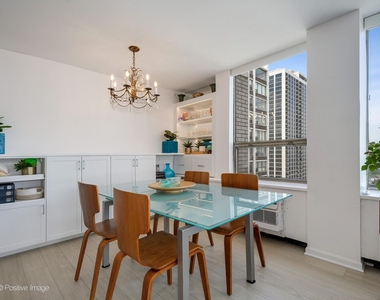 1455 N Sandburg Terrace - Photo Thumbnail 10