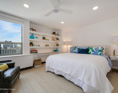 1455 N Sandburg Terrace - Photo Thumbnail 16
