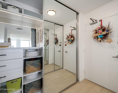1455 N Sandburg Terrace - Photo Thumbnail 20